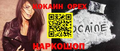 PSILOCYBIN Можга
