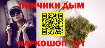 PSILOCYBIN Можга