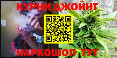 PSILOCYBIN Можга