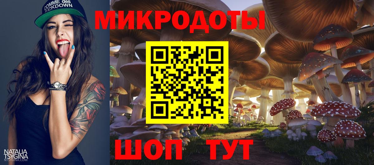 Галлюциногенные грибы Тверь