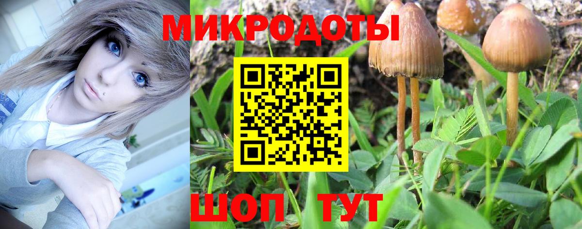 Псилоцибиновые грибы прущие грибы  Галлюциногенные грибы мицелий  Тверь  Вход с VPN 