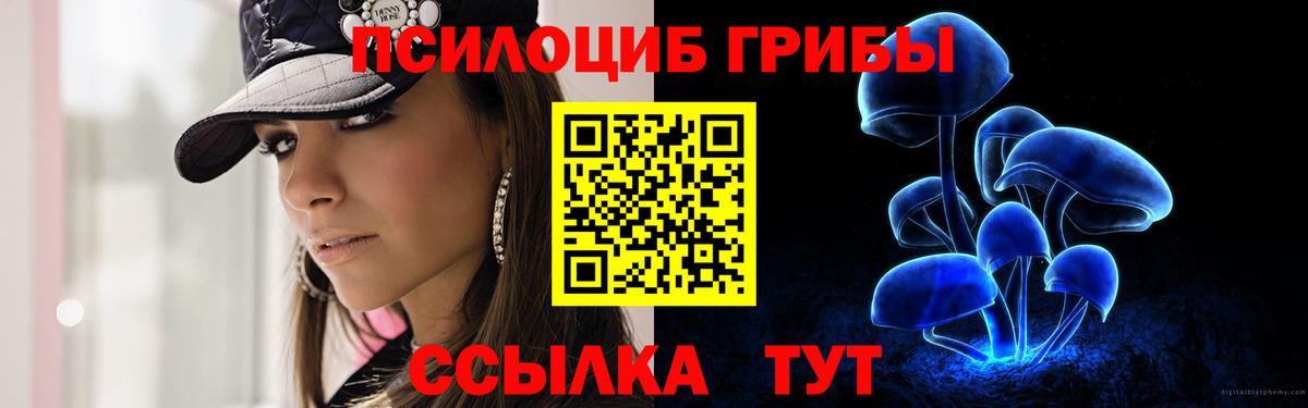 Галлюциногенные грибы MAGIC MUSHROOMS Тверь