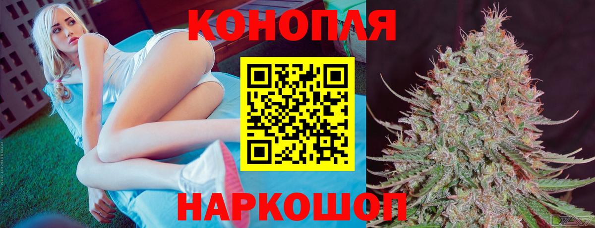 Бошки марихуана Amnesia Тверь